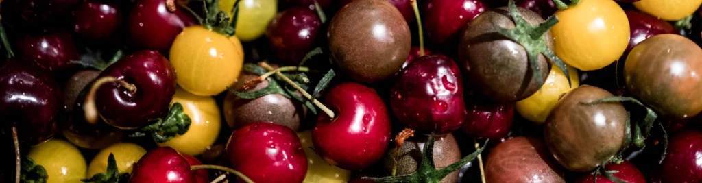 La imagen muestra en primer plano tomates pequeños de diferentes colores, junto con cerezas que lo puedes encontrar en los platos al reservar en el restaurante Pabú